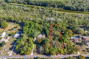 Ocklawaha Dr, Leesburg, FL 34788 - Photo 1