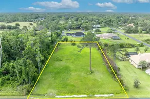 Mill Pond Rd, Tavares, FL 32778 - Photo 1