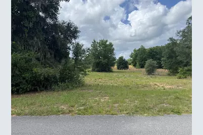 Tbd Keene Road, Altoona, FL 32702 - Photo 1