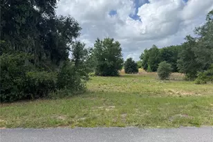 Tbd Keene Rd, Altoona, FL 32702 - Photo 1
