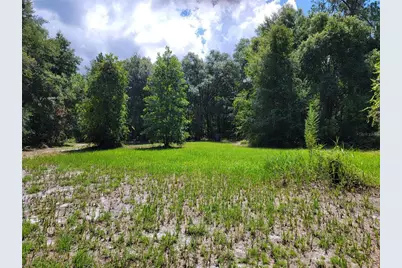 0 SE 464C Highway, Ocklawaha, FL 32179 - Photo 1