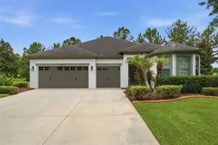 30040 Donnington Loop, Mount Dora, FL 32757 - Photo 1