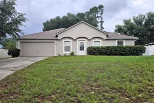 1017 White Bark Ct, Minneola, FL 34715 - Photo 1