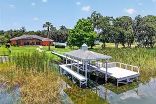 29742 Squirrel Point Rd, Tavares, FL 32778 - Photo 1