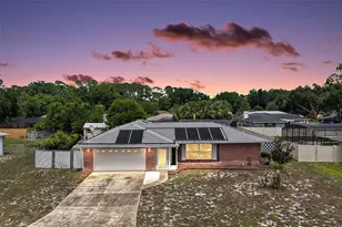 660 Oleander St, Mount Dora, FL 32757 - Photo 1