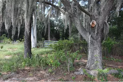 31328 Sand Lake Drive, Mount Dora, FL 32757 - Photo 1