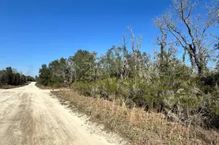 NE 67th Ln, Williston, FL 32696 - Photo 1