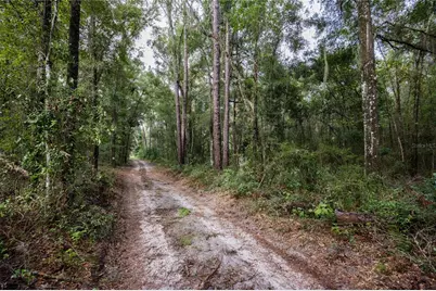 0 NE 175th Avenue, Williston, FL 32696 - Photo 1