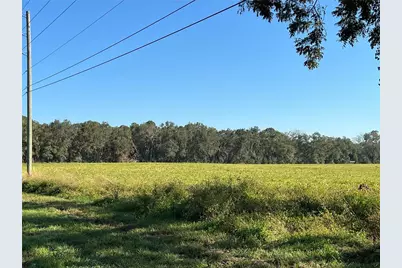 S Us-129 Highway, Bell, FL 32619 - Photo 1
