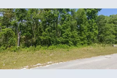 540 NE 558 Street, Old Town, FL 32680 - Photo 1