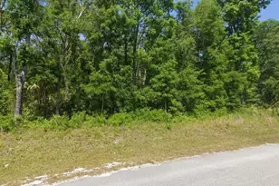 540 NE 558th St, Old Town, FL 32680 - Photo 1