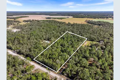Off NE 628th St, Old Town, FL 32680 - Photo 1