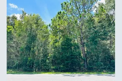 705 SW 4th Avenue, Chiefland, FL 32626 - Photo 1