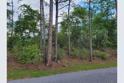 Tbd County Road 18, Fort White, FL 32038 - Photo 1