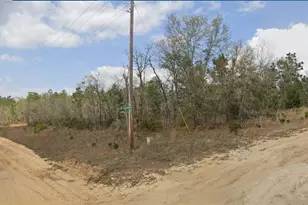 Lot 34 Twin Lakes Blvd, Interlachen, FL 32148 - Photo 1