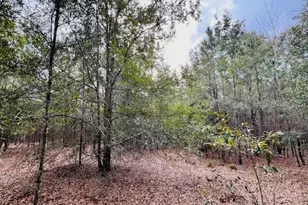 NW 85th St, Bell, FL 32619 - Photo 1