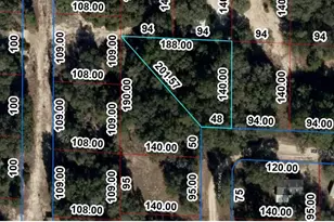 Lot 10 NE 58th Ln, Williston, FL 32696 - Photo 1