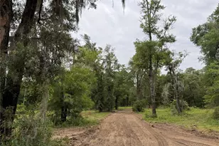 Tbd NE 127th Pl, Bronson, FL 32621 - Photo 1