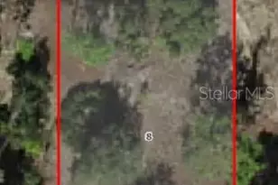 3378 W Nieman Dr, Citrus Springs, FL 34433 - Photo 1