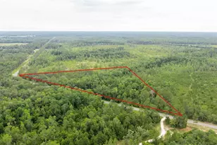 West Hwy 40, Dunnellon, FL 34431 - Photo 1