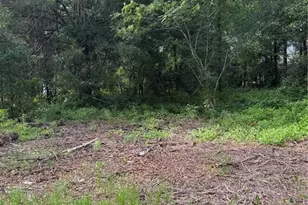 10237 NE 67th St, Bronson, FL 32621 - Photo 1