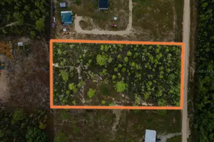 NE 154th Ave, Williston, FL 32696 - Photo 1