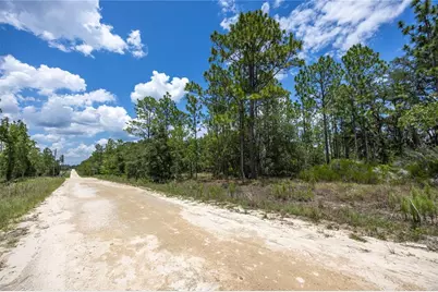 Ne 150th Court, Williston, FL 32696 - Photo 1