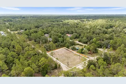 Ne 132nd Court, Williston, FL 32696 - Photo 1