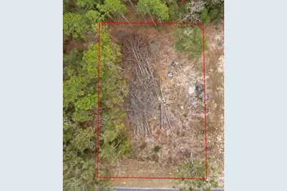 Ne State Road 121, Williston, FL 32696 - Photo 1