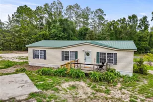 3379 NW 52nd Pl, Bell, FL 32619 - Photo 1