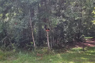 101 Beach Drive, Florahome, FL 32140 - Photo 1