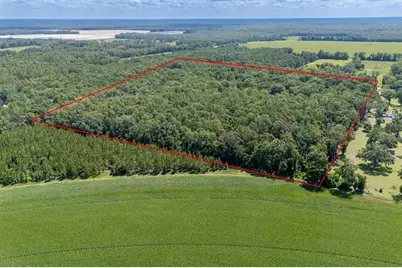 8289 NE Highway 349, Old Town, FL 32680 - Photo 1