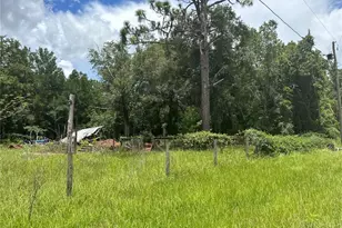 380 NE 157 Ave, Williston, FL 32696 - Photo 1