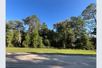81st Street NE, Bronson, FL 32621 - Photo 1