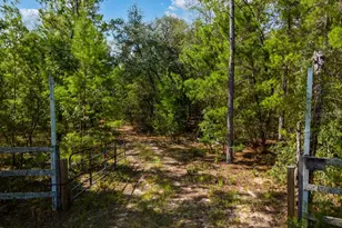 6474 Golden Oak Ln, Keystone Heights, FL 32656 - Photo 1