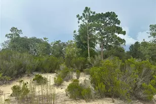 NE 85th St, Bronson, FL 32621 - Photo 1