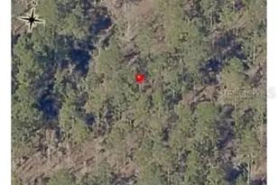 Rainbow Lakes Estates Holly Rd, Dunnellon, FL 34431 - Photo 1