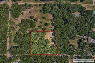 NE 81st St, Bronson, FL 32621 - Photo 1