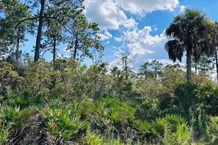 00 SW 52 Pl, Cedar Key, FL 32625 - Photo 1