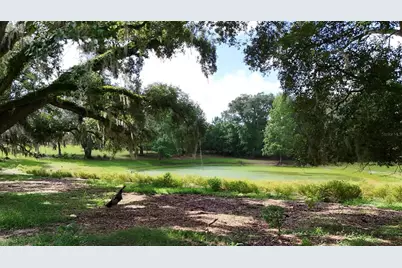 Sw County Road 778, Fort White, FL 32038 - Photo 1