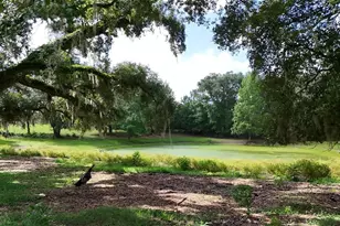 SW County Road 778, Fort White, FL 32038 - Photo 1