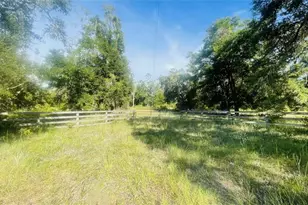 5037 SE Hwy 349, Old Town, FL 32680 - Photo 1