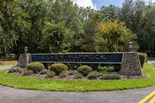 6161 NE 43rd Lane Rd, Silver Springs, FL 34488 - Photo 1