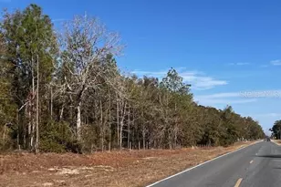 4700 NW County Road 340, Bell, FL 32619 - Photo 1