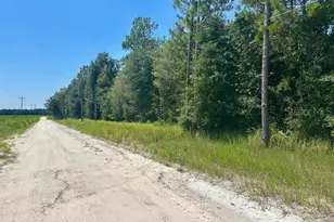 5919 NW 10th Ave, Bell, FL 32619 - Photo 1