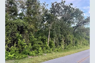 Sw Newark Dr, Fort White, FL 32038 - Photo 1