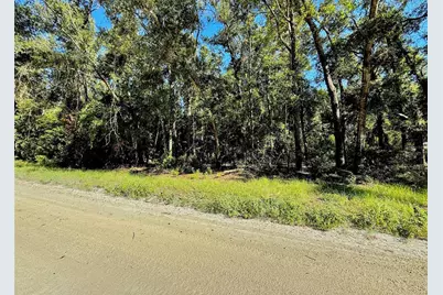 0000 NW 282 Terrace, Branford, FL 32008 - Photo 1