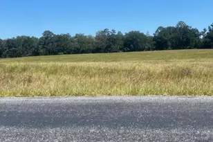 3830 NW 31st Ave, Bell, FL 32619 - Photo 1