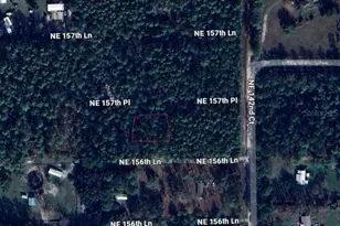 NE 157th Pl, Fort Mc Coy, FL 32134 - Photo 1