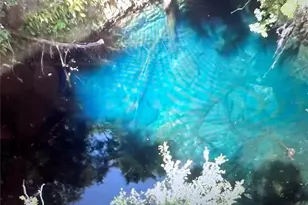 [Address not provided], Williston, FL 32696 - Photo 1